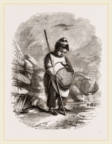 Young Shrimp-catcher