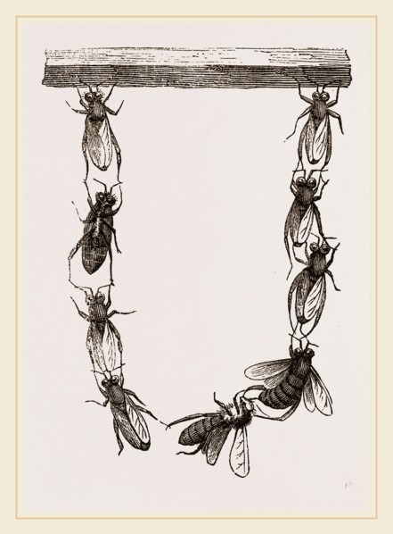 Festoon of Wax-workers