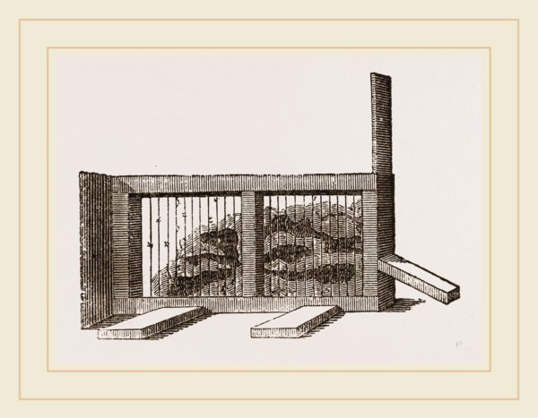 Huber's Ant-Apparatus