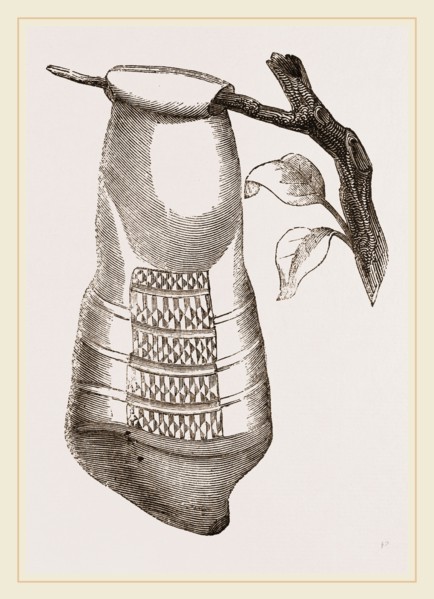 Pendent Wasps Nest from Cayenne