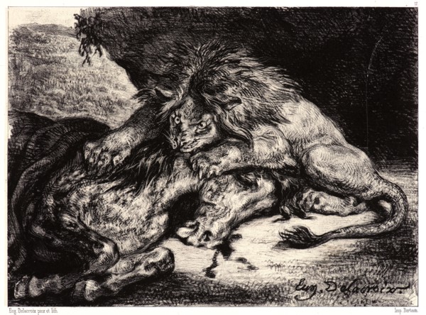 EugÃ¨ne Delacroix (French, 1798 - 1863). Lion Devouring a Horse (Lion Devorant un Cheval), after