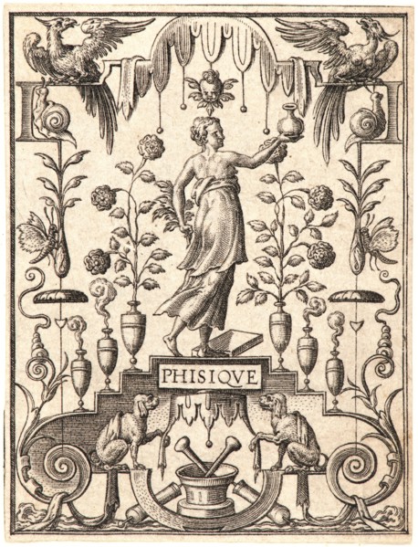 Etienne Delaune (aka Ãâtienne Delaune) (French, ca. 1519-1583). La Physique. From The Sciences.