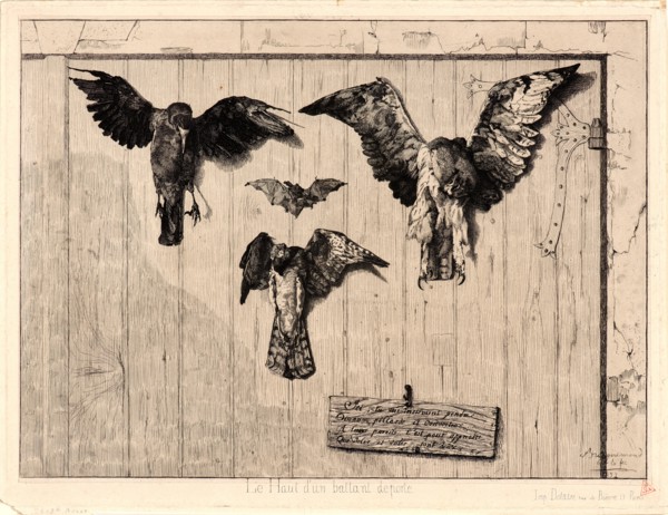 Félix Bracquemond (French, 1833 - 1914). Birds Nailed to a Barn Door (Le Haut d'un Battant de