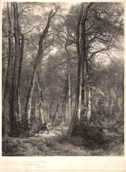 Karl Bodmer (Swiss, 1809 - 1893) after Jean-FranÃ§ois Millet (French, 1814 - 1875). In the Forest