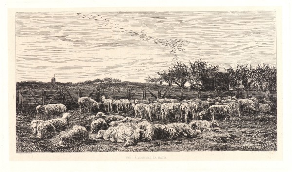 Charles FranÃ§ois Daubigny (French, 1817 - 1878). The Sheepfold, Morning (La Grand Parc Ã  Moutons,