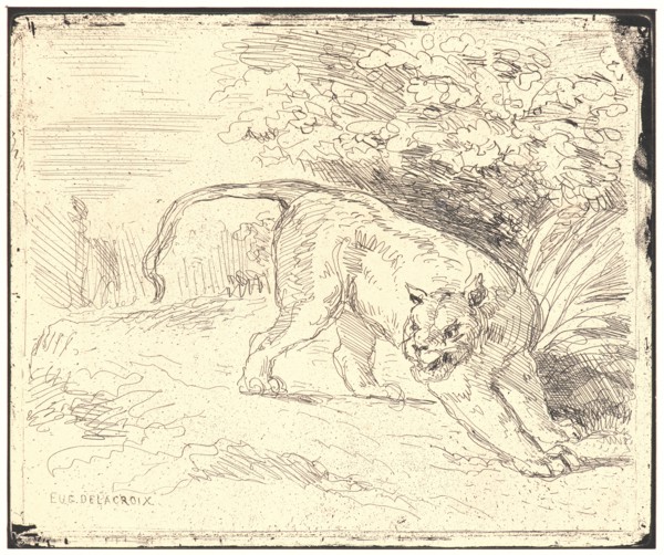 EugÃ¨ne Delacroix (French, 1798 - 1863). Tigre en Arret, 19th century. From Quarante Clichés-Glace.