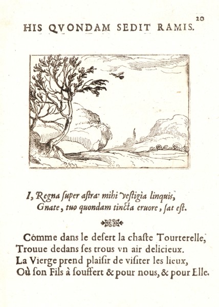 Jacques Callot (French, 1592 - 1635). Tourterelle Volant dans le Desert, 17th century. From The