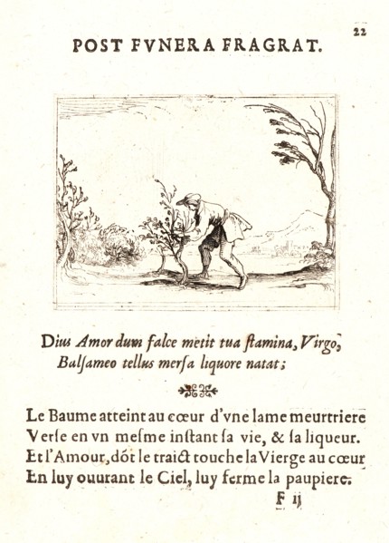 Jacques Callot (French, 1592 - 1635). Homme Coupant Baumier, 17th century. From The Life of the