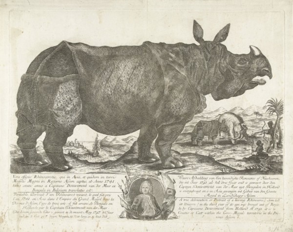 The rhinocerus Clara, 1741, print maker: H. Oster, Anton August Beck, Johann Georg Schmidt, 1747