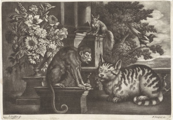 Monkey, cat, squirrel and magpie, Jan Griffier I, Francis Barlow, Pierce Tempest, 1667-1717
