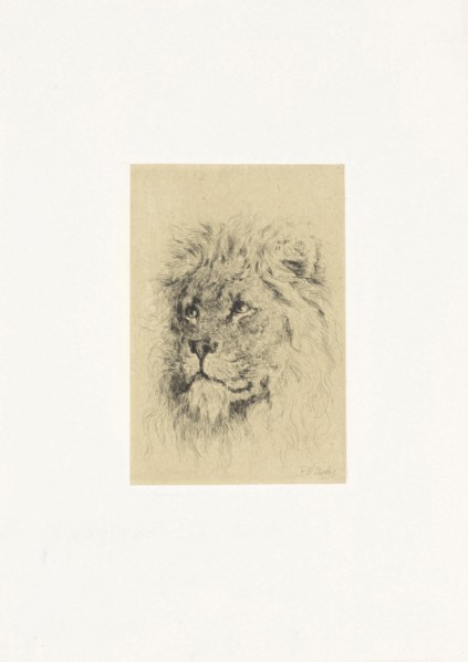 Head of a lion, Frederick Willem Zurcher, 1845-1894