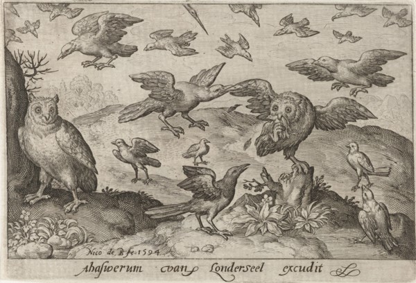 Owl with prey attacked by other bird, Nicolaes de Bruyn, 1594