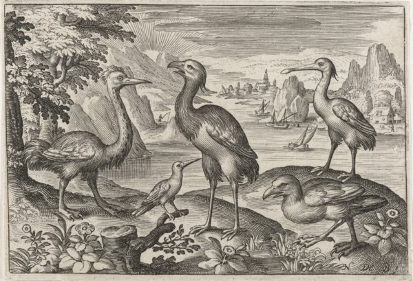 Crowned Crane between two ostriches, Nicolaes de Bruyn, 1594