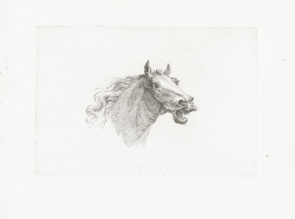 Horse head with open mouth, right, Joannes Bemme, Gerrit Malleyn, c. 1800 - in or before 1841