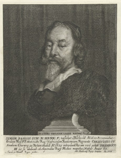 Bust of Simon Paulli, Albert Haelwegh, 1666