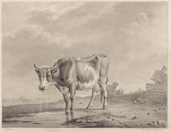 Drinking cow at the water, Diederik Jan Singendonck, 1814