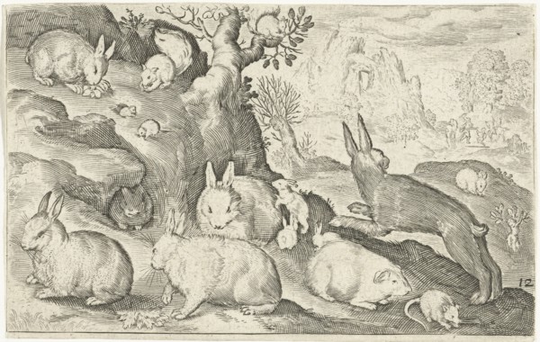 rabbits, squirrel, guinea pig and mouse, Nicolaes de Bruyn, 1594