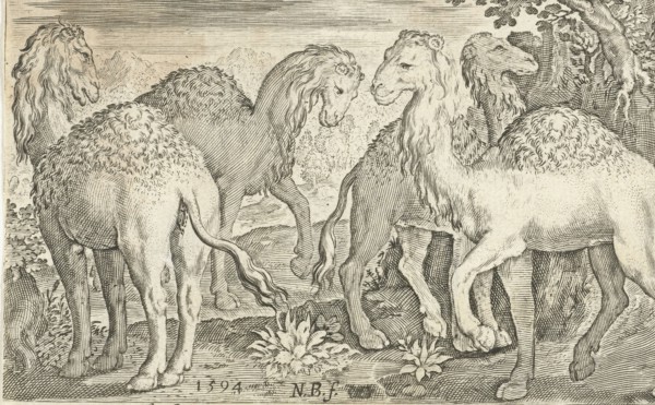 Four humpbacks, Nicolaes de Bruyn, 1594