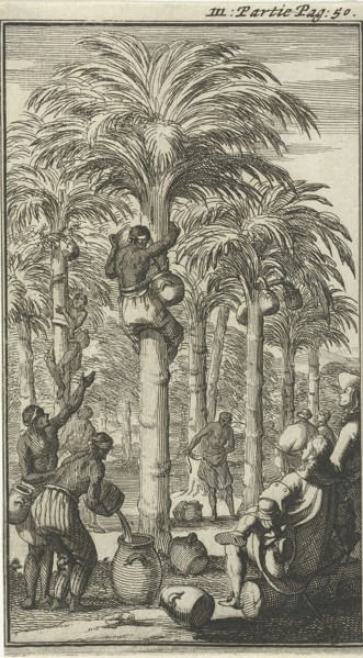 Obtaining palm wine in India, Jan Luyken, Charles Angot, 1689