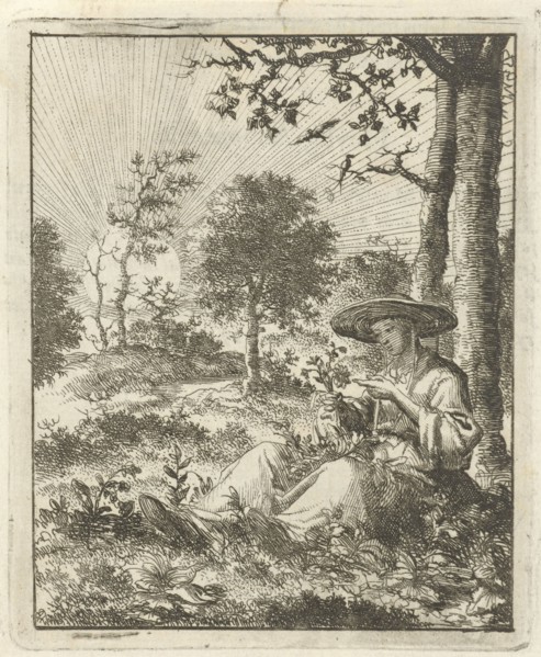 Woman looking at flowers in the field, Jan Luyken, Pieter Arentsz (II), 1687