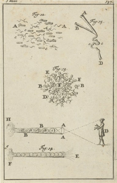 Four representations regarding seeing, print maker: Jan Luyken, Jan Claesz ten Hoorn, 1684