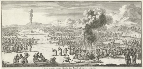 sacrifice of the red heifer, Jan Luyken, Willem Goeree, 1683