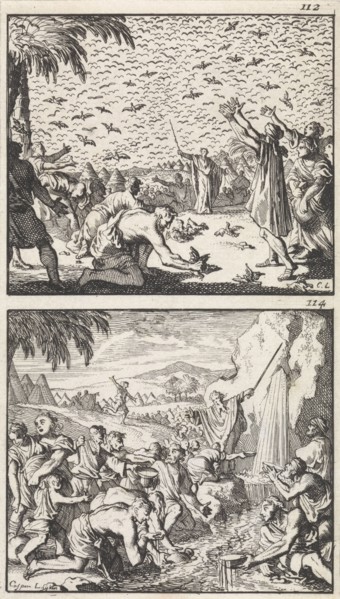 Quail in the Desert, Moses strikes water from the rock, print maker: Caspar Luyken, Barent