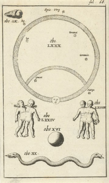 Anatomical figure IV, Jan Luyken, Jan Claesz ten Hoorn, 1680 - 1688