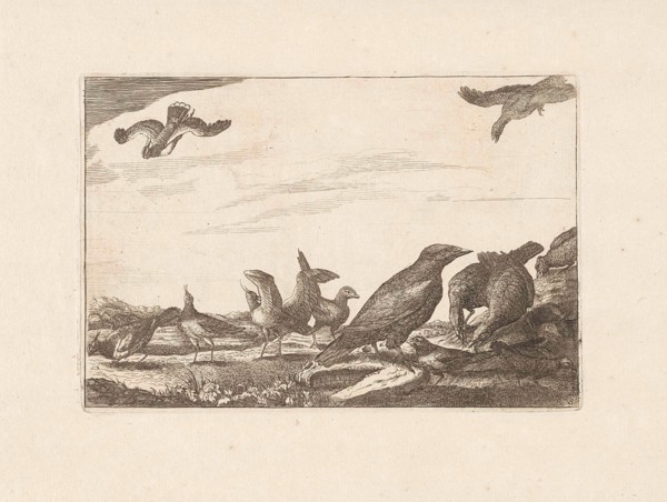 Crow and pheasants, Francis Barlow, Pieter Schenk I, 1675-1711