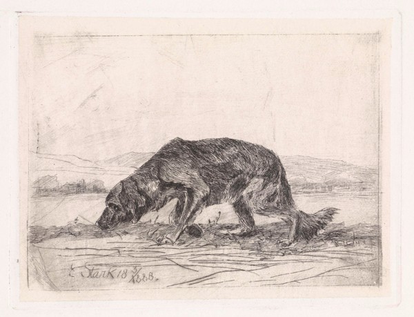 Dog, Elias Stark, 1888