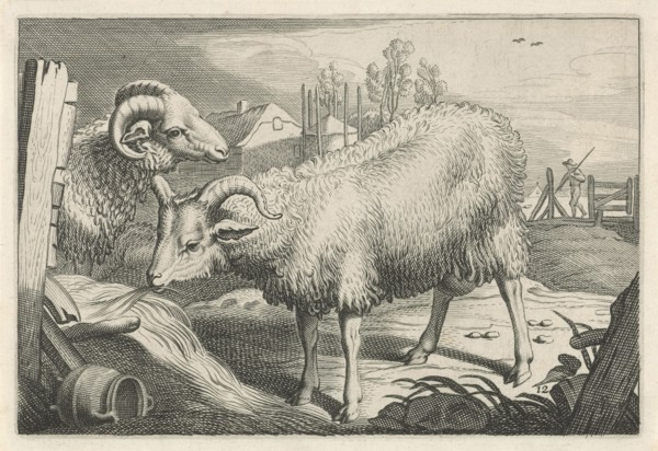 Pasture with a sheep and a ram, Reinier van Persijn, Jacob Gerritsz Cuyp, Nicolaes Visscher (I),