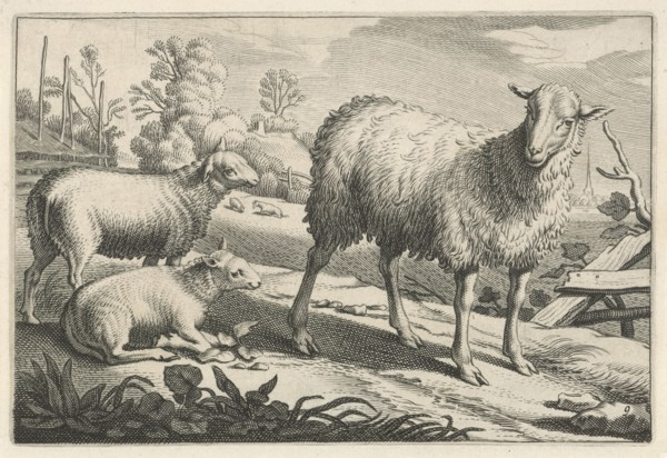 Pasture with a sheep and two lambs, Reinier van Persijn, Jacob Gerritsz Cuyp, Nicolaes Visscher