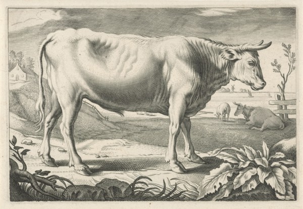 Pasture with an ox, Reinier van Persijn, Jacob Gerritsz Cuyp, Nicolaes Visscher (I), 1641