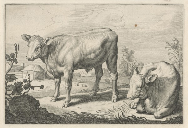 Pasture with two bulls, Reinier van Persijn, Jacob Gerritsz Cuyp, Nicolaes Visscher (I), 1641