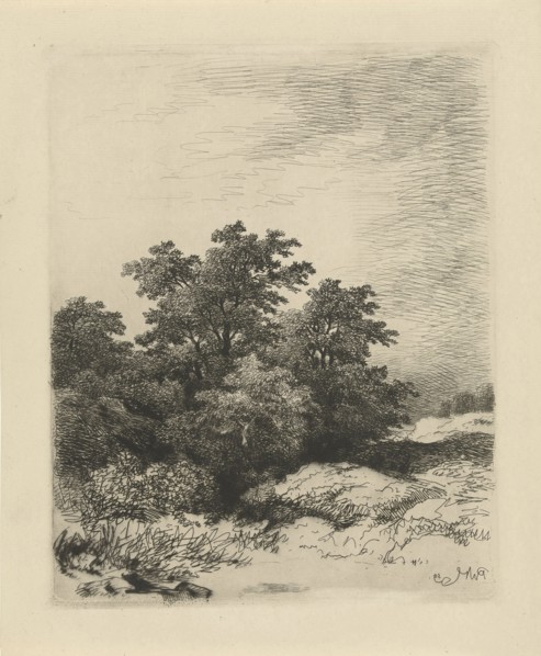 Landscape with trees, print maker: Remigius Adrianus Haanen, 1859
