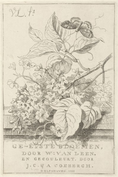 Flower Study with butterfly, Willem van Leen, 1801