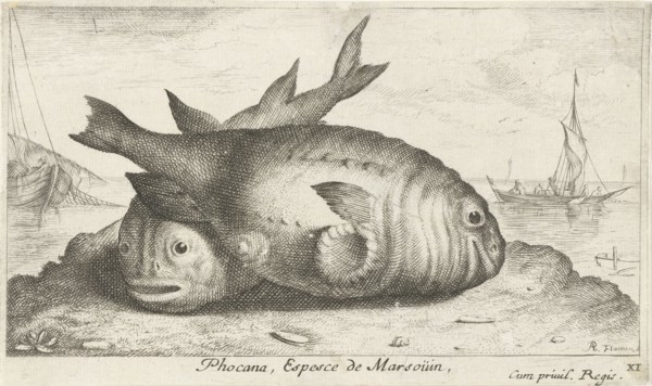 Two porpoises on the beach, Frans Geffels, 1668 - c. 1670