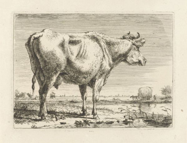 Standing cow, Pieter Gerardus van Os, 1798