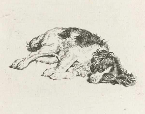 Sleeping dog, Hendrik Godart de Marée, 1752 - 1783