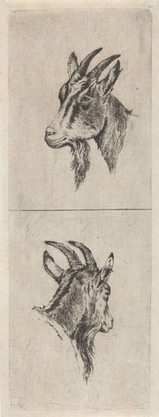 Bucks head, Pieter Janson, 1780-1851