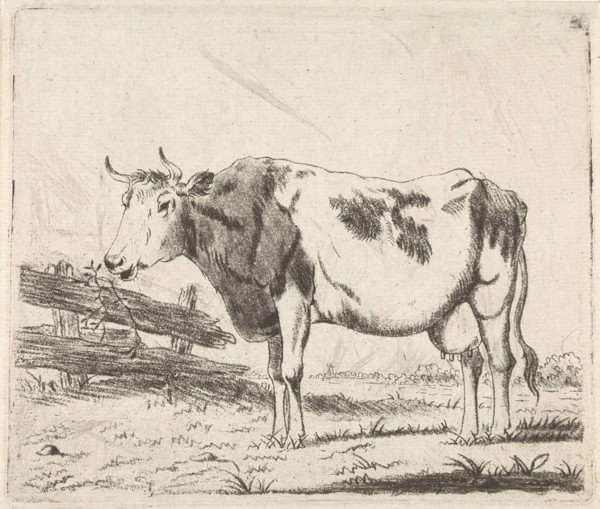 Cow at fence, Pieter Janson, 1780 - 1851