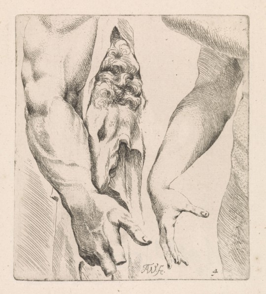 Armstudies, Augustinus Terwesten (I), 1672 - 1711