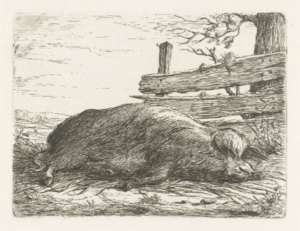 Lying boar, Jacobus Cornelis Gaal, Pieter Gaal, 1850