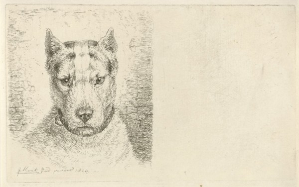Dogs head with collar, Johannes Mock, 1824