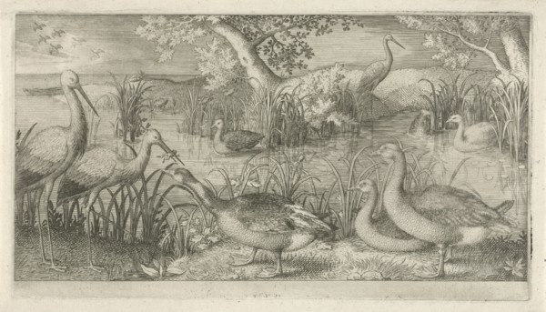 Waterfowl in a pond, Jan van Londerseel, 1580 - 1625