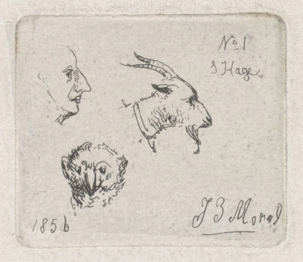 Mans Head, goat and owl, Jan Evert Morel (II), 1856