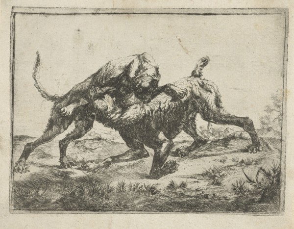 Fighting dogs, Pauwels van Hillegaert, 1606-1658