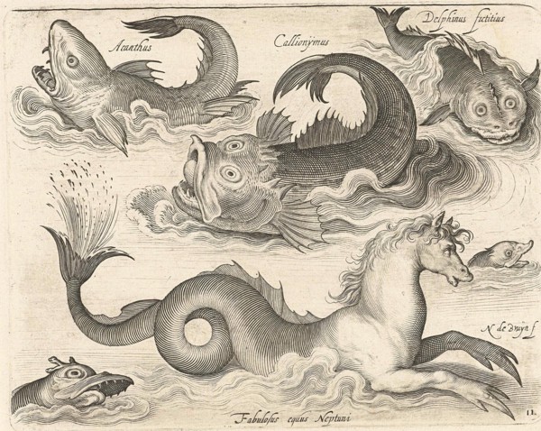 Fantastic invertebrates, including a seahorse, Nicolaes de Bruyn, 1581 - 1656
