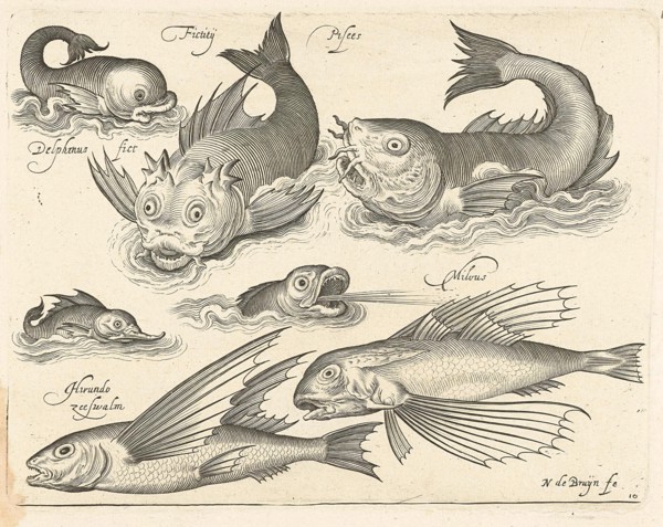 Fantastic invertebrates, including dolphin and dragonet, Nicolaes de Bruyn, 1581-1656