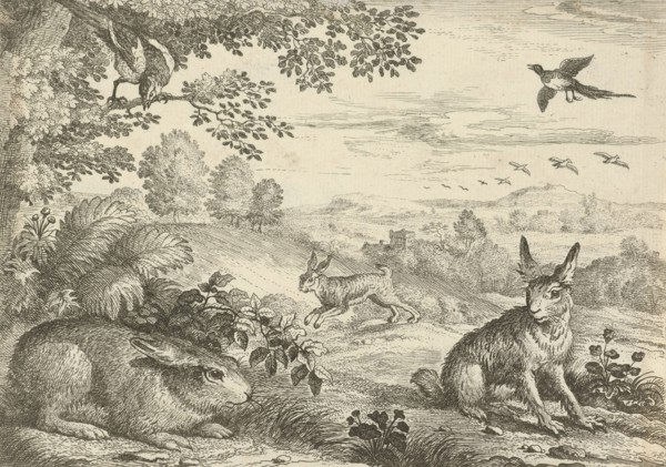 Three rabbits in a landscape, Jan Griffier (I), Pierce Tempest, 1680 - 1694